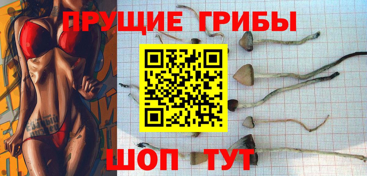 Псилоцибиновые грибы мицелий Медногорск